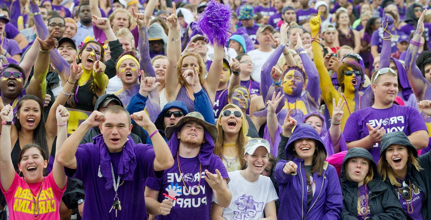Catamount Football: Prove Your Purple