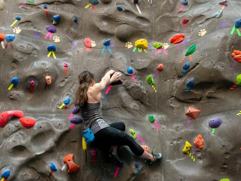 a female student hanging on the indoor climbing wall as she chooses her route up the wall